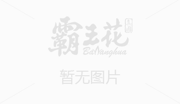 副省長佟星調(diào)研我市中小企業(yè)發(fā)展情況時強調(diào)——像抓重大項目一樣扶持中小企業(yè)