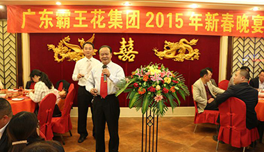 2015年廣東霸王花集團(tuán)新春晚宴