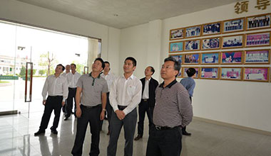 省農(nóng)業(yè)廳副廳長牛寶俊蒞臨霸王花食品公司檢查指導(dǎo)工作