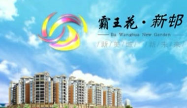 霸王花地產(chǎn)?新邨