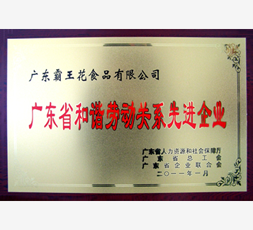廣東省和諧勞動關(guān)系先進(jìn)企業(yè)
