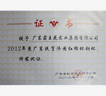 2012年度廣東扶貧濟(jì)困紅棉杯銅杯