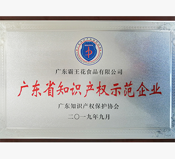 廣東省知識產(chǎn)權(quán)示范企業(yè)
