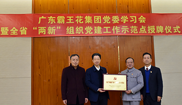 廣東霸王花集團黨委開展學習會暨全省“兩新”組織黨建示范點授牌儀式