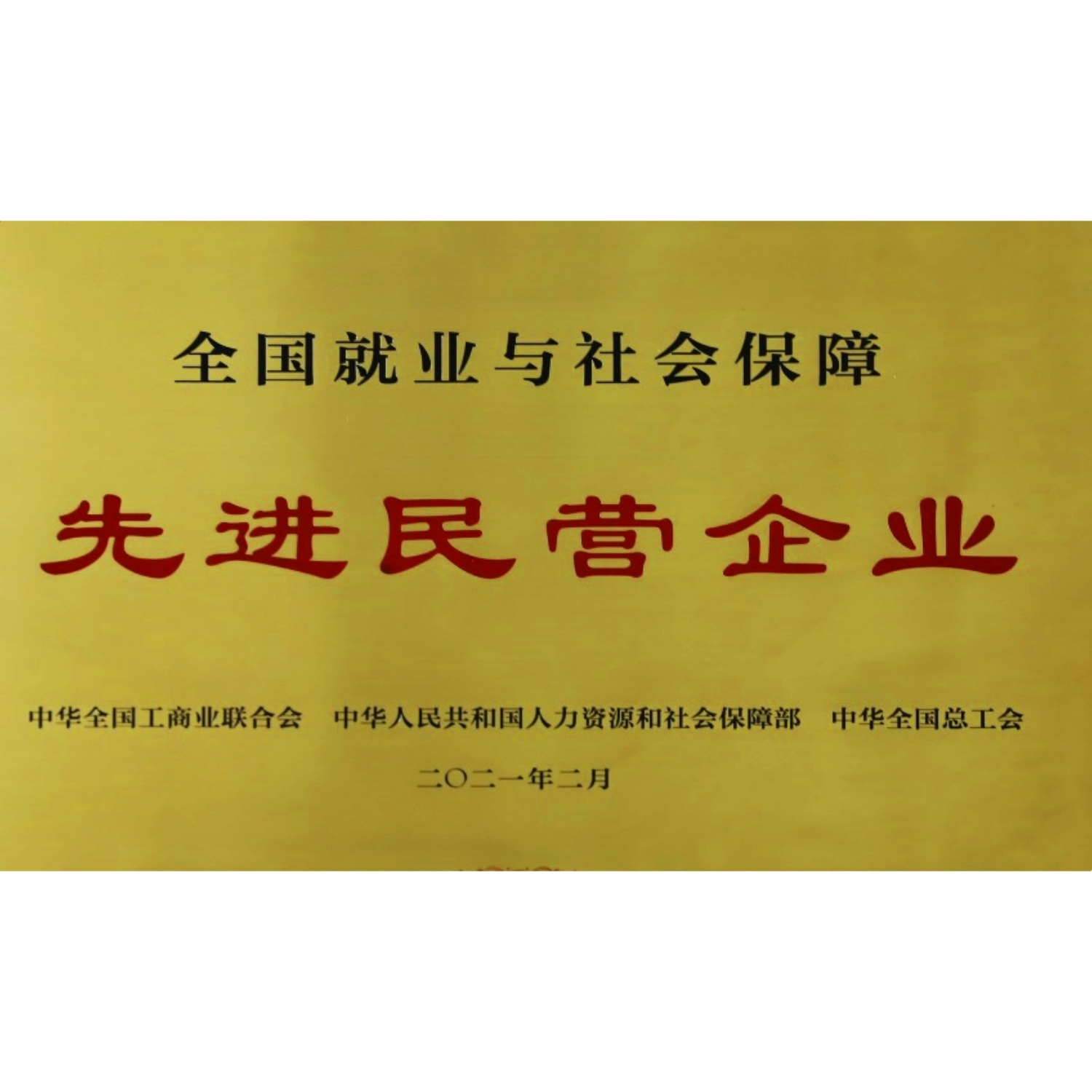 全國就業(yè)與社會保障先進(jìn)民營企業(yè)