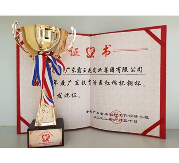 2021年度廣東扶貧濟(jì)困紅棉杯銅杯