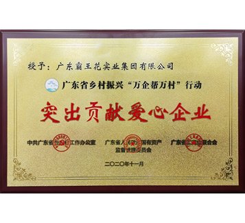 廣東省鄉(xiāng)村振興“萬企幫萬村”行動“突出貢獻(xiàn)愛心企業(yè)”