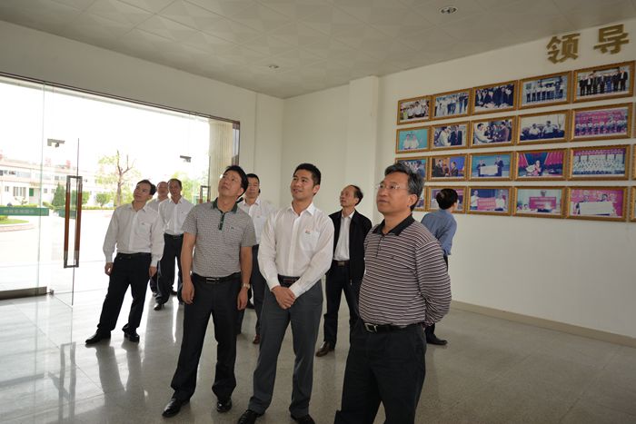 1533273104951705.jpg 1.jpg